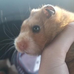 Meet your Posher, Meagan